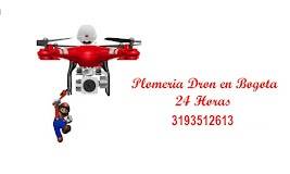 plomeria dron 319351613 tecnicos en todo bogota